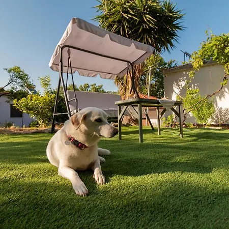 Aspa's House Дом отдыха