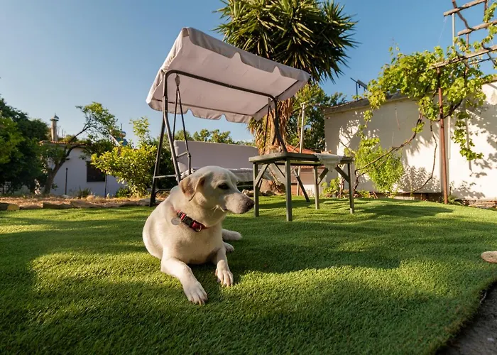 Aspa's House Holiday home